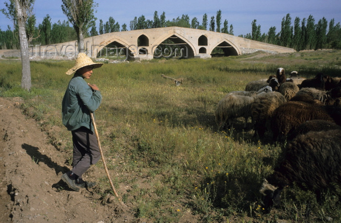 iran450: Iran - Zanjan province: shepherd  and Mir Baha-e-din Bridge - Qajar dynasty - Zanjan-Rood river - photo by W.Allgower - (c) Travel-Images.com - Stock Photography agency - Image Bank