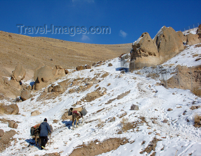 iran515: Kandovan, Osku - East Azerbaijan, Iran: donkeys and snow - the area is reputed to have the cleanest air in the country - photo by N.Mahmudova - (c) Travel-Images.com - Stock Photography agency - Image Bank