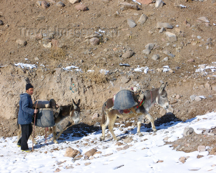 iran522: Kandovan, Osku - East Azerbaijan, Iran: farmer leading his donkeys uphill - photo by N.Mahmudova - (c) Travel-Images.com - Stock Photography agency - Image Bank