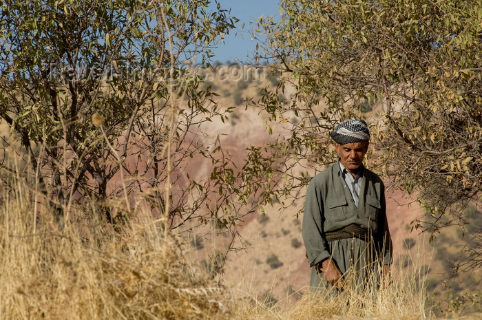 iraq79: Kurdistan, Iraq: old man in the fields - photo by J.Wreford - (c) Travel-Images.com - Stock Photography agency - Image Bank