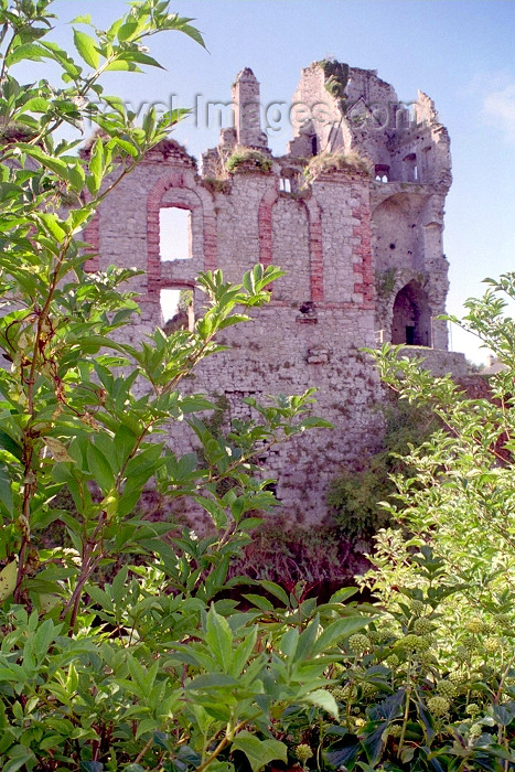 ireland101: Ireland - Desmond (Kinsale co Cork): Desmond Castle (photo by M.Bergsma) - (c) Travel-Images.com - Stock Photography agency - Image Bank