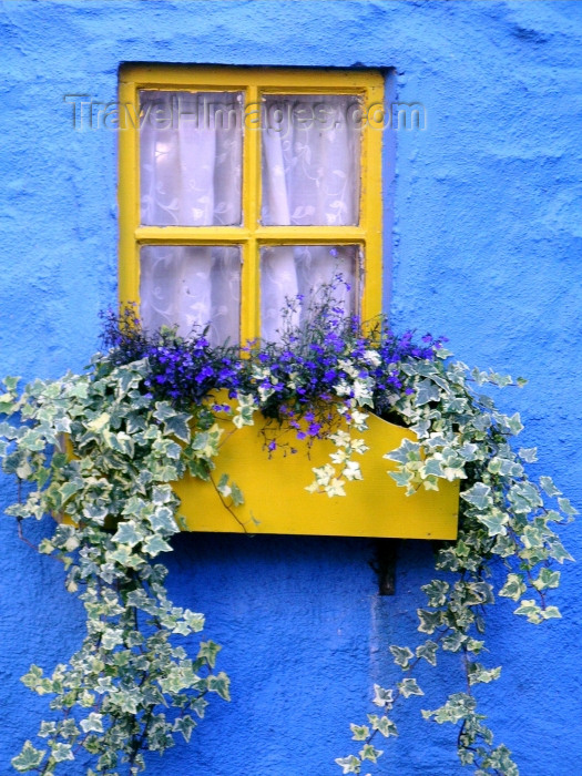 ireland54: Ireland - Kinsale (County cork): window with flower box - blue house (photo by R.Wallace) - (c) Travel-Images.com - Stock Photography agency - Image Bank