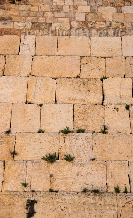 israel107: Jerusalem, Israel: Wailing wall / Western Wall /Kotel Ha-Ma'aravi - believed to have been erected around around 19 BC by Herod the Great - limestone ashlars - muro das lamentações - Mur des Lamentations - Klagemauer - photo by M.Torres - (c) Travel-Images.com - Stock Photography agency - Image Bank