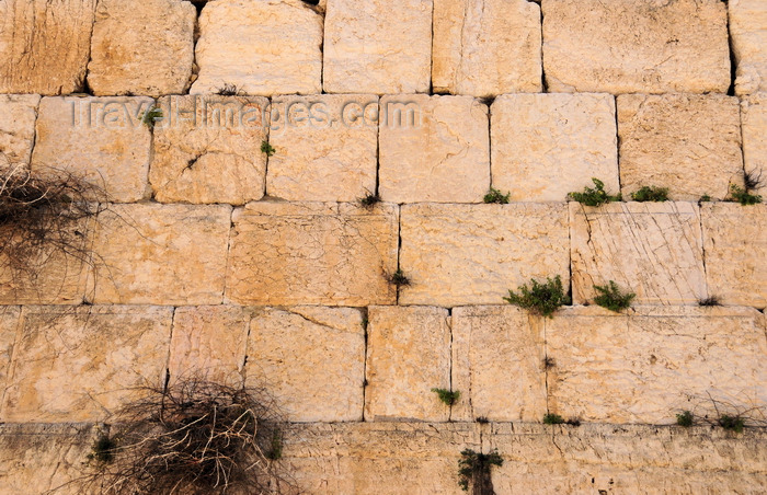 israel108: Jerusalem, Israel: the Wailing wall consists of 45 stone courses, 28 of them above ground and 17 below pavement level - meleke limestone stones - Herodian ashlars, cut smooth, with narrow margins around the edges and smooth slightly raised bosses in the center / Western Wall / the Kotel - muro das lamentações - Mur des Lamentations - Klagemauer - photo by M.Torres - (c) Travel-Images.com - Stock Photography agency - Image Bank