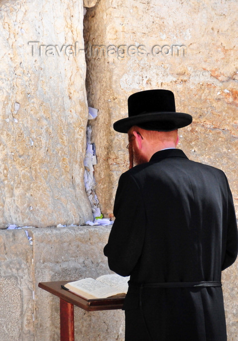 israel111: Jerusalem, Israel: Orthodox man reading the Torah from a small table at the Wailing wall - Hasidic Jew - written prayers in the crevices of the Wall / Western Wall / HaKotel - muro das lamentações - Mur des Lamentations - Klagemauer - photo by M.Torres - (c) Travel-Images.com - Stock Photography agency - Image Bank