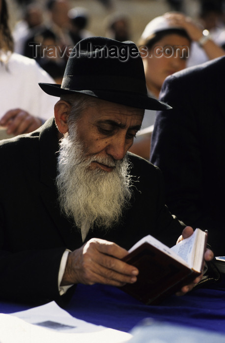 israel114: Israel - Jerusalem - study of the Torah - elderly Orthodox man - photo by Walter G. Allgöwer - (c) Travel-Images.com - Stock Photography agency - Image Bank