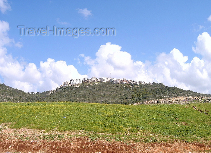 israel116: Haifa, Israel: green hills and suburbia - photo by E.Keren - (c) Travel-Images.com - Stock Photography agency - Image Bank