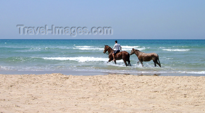 israel142: Israel - Kibbutz Sdot Yam: lone rider - horses - photo by Efi Keren - (c) Travel-Images.com - Stock Photography agency - Image Bank