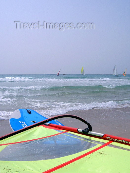 israel165: Israel - Kibbutz Sdot Yam: windsurf - photo by Efi Keren - (c) Travel-Images.com - Stock Photography agency - Image Bank