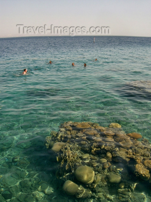 israel192: Israel - Eilat: transparency - Red Sea - photo by Efi Keren - (c) Travel-Images.com - Stock Photography agency - Image Bank