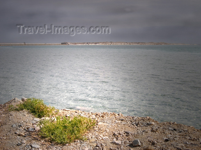 israel208: Israel - Dead sea: the sole sign of life - vegetation - photo by Efi Keren - (c) Travel-Images.com - Stock Photography agency - Image Bank