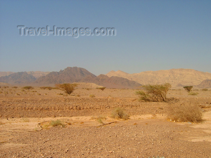 israel212: Israel - Dead sea: Judean Desert - photo by Efi Keren - (c) Travel-Images.com - Stock Photography agency - Image Bank