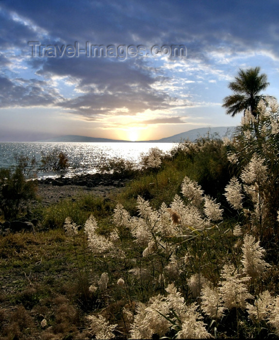 israel222: Israel - Sea of Galilee / Lake Tiberias: dusk - photo by E.Keren - (c) Travel-Images.com - Stock Photography agency - Image Bank