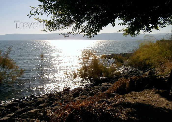 israel223: Israel - Sea of Galilee / Lake Tiberias: fall - called 'Sea of Kinneret' in the Bible - photo by E.Keren - (c) Travel-Images.com - Stock Photography agency - Image Bank