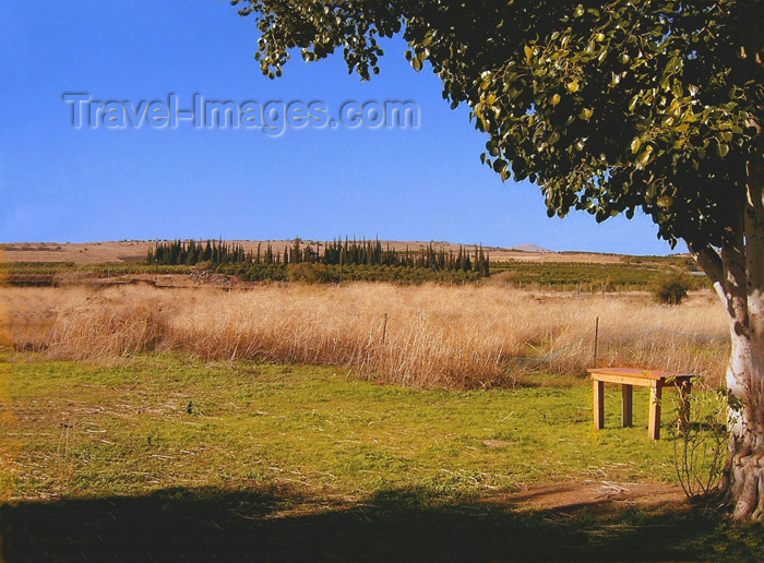 israel225: Israel - Sea of Galilee / Lake Tiberias: heat - photo by E.Keren - (c) Travel-Images.com - Stock Photography agency - Image Bank