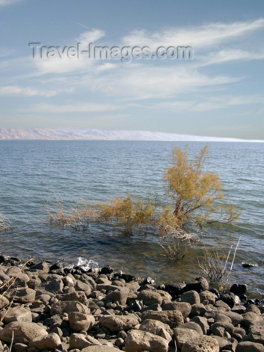 israel227: Israel - Sea of Galilee / Lake Tiberias: lake shore - Jordan Great Rift Valley - photo by E.Keren - (c) Travel-Images.com - Stock Photography agency - Image Bank