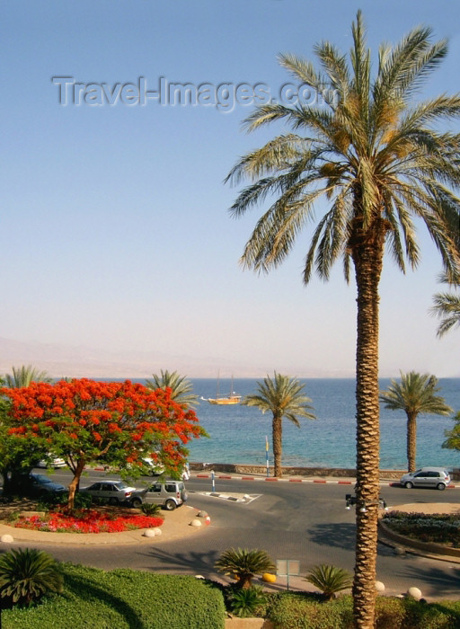 israel253: Israel - Eilat: view of the bay - Gulf of Aqaba / Eilat - photo by Efi Keren - (c) Travel-Images.com - Stock Photography agency - Image Bank