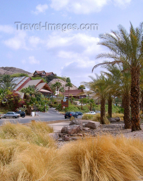 israel254: Israel - Eilat: countryside hotel - photo by Efi Keren - (c) Travel-Images.com - Stock Photography agency - Image Bank