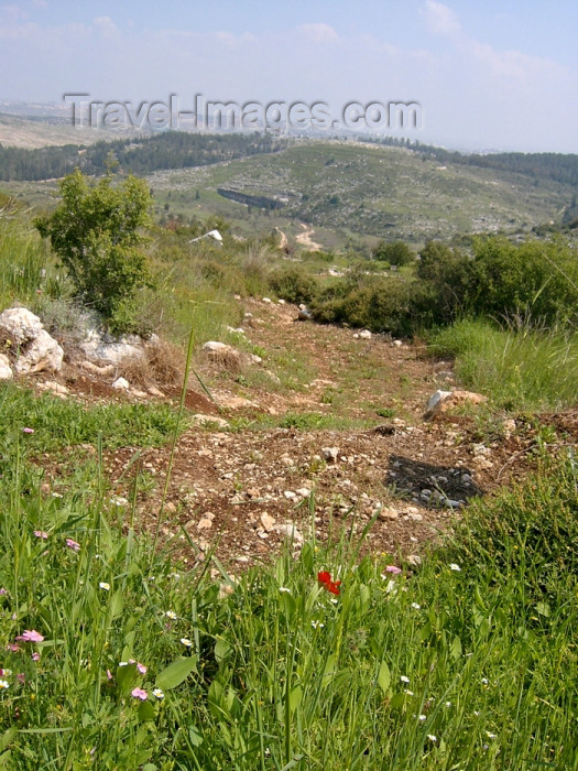 israel269: Israel - Neot Kdumim / Neot Kedumim, Center District: Israeli landscape - national nature reserve - photo by E.Keren - (c) Travel-Images.com - Stock Photography agency - Image Bank