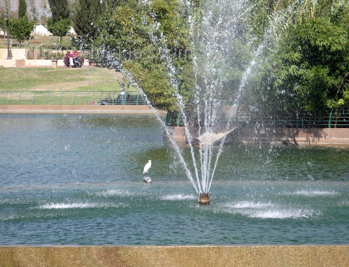 israel281: Israel - Ranana / Raanana / Ra'anana, Center District: park - pond - photo by E.Keren - (c) Travel-Images.com - Stock Photography agency - Image Bank