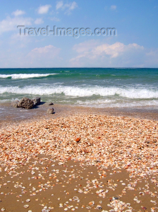 israel287: Israel - Kibbutz Sdot Yam: pebbles of the Mediterranean sea - stones - photo by Efi Keren - (c) Travel-Images.com - Stock Photography agency - Image Bank