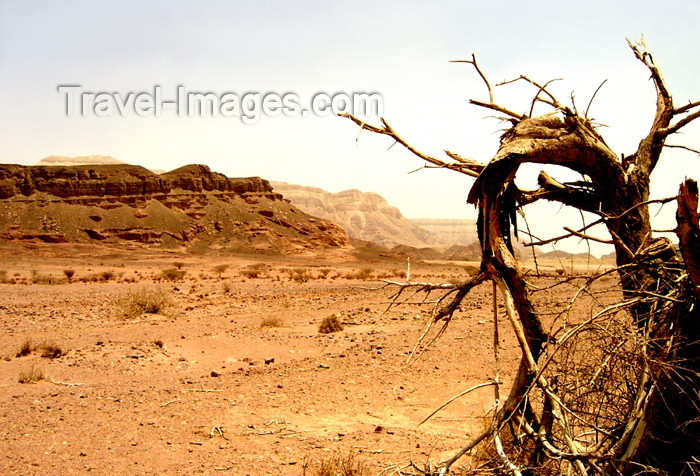 israel292: Israel - Eilat - Timna Valley Park: the power of the desert- photo by Efi Keren - (c) Travel-Images.com - Stock Photography agency - Image Bank