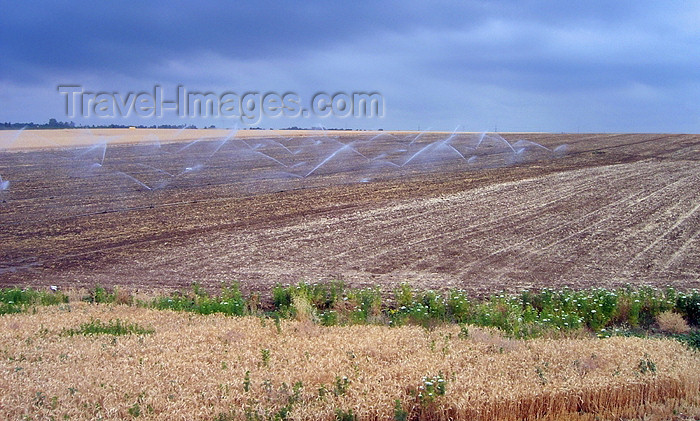 israel294: Israel - irrigated fields - Israeli agriculture - photo by E.Keren - (c) Travel-Images.com - Stock Photography agency - Image Bank