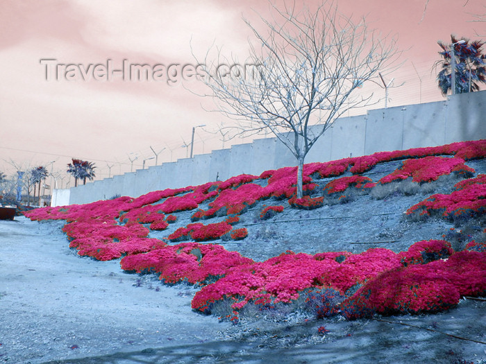 israel304: Israel - Center District: behind the security wall - photo by E.Keren - (c) Travel-Images.com - Stock Photography agency - Image Bank