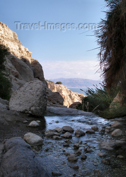 israel308: Israel - Ein Gedi National Park, South district - Dead Sea Valley - stream - photo by E.Keren - (c) Travel-Images.com - Stock Photography agency - Image Bank