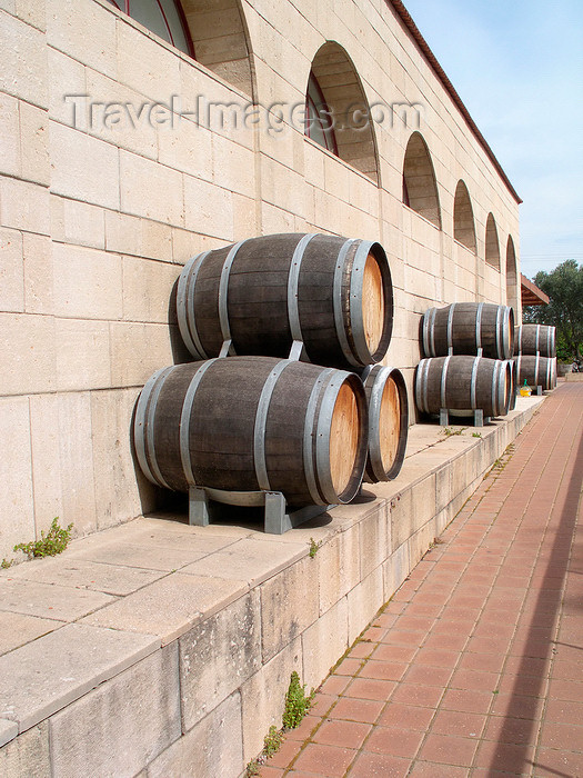 israel353: Golan Heights, Israel: wooden barrels along the wall of Yarden winery - producer of Kosher wines - photo by E.Keren - (c) Travel-Images.com - Stock Photography agency - Image Bank
