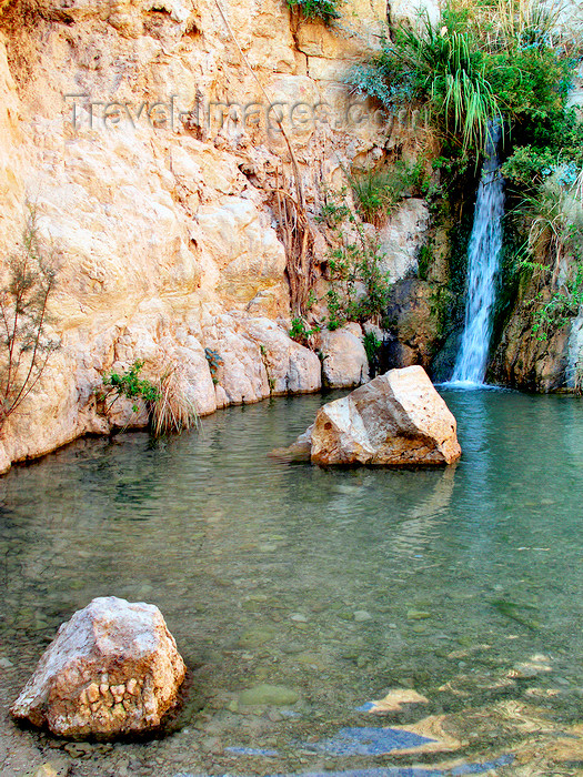 israel361: Ein Gedi oasis and National Park, South district, Israel: Shulamit waterfall - Nachal David stream - photo by E.Keren - (c) Travel-Images.com - Stock Photography agency - Image Bank