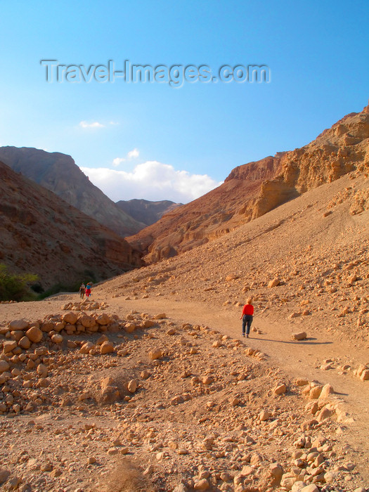 israel364: Ein Gedi oasis and National Park, South district, Israel: people strolling in the park - photo by E.Keren - (c) Travel-Images.com - Stock Photography agency - Image Bank