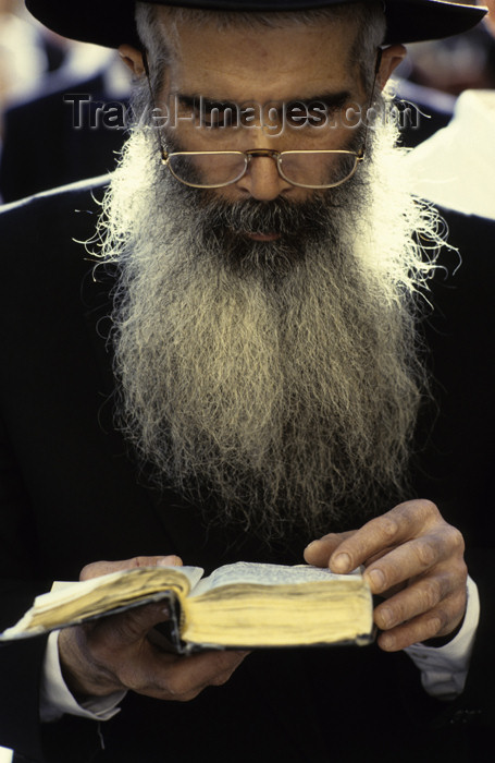 israel38: Israel - Jerusalem - study of the Torah - bearded Orthodox man - photo by Walter G. Allgöwer - (c) Travel-Images.com - Stock Photography agency - Image Bank