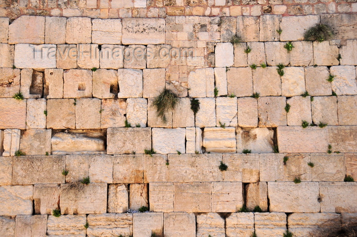 israel402: Jerusalem,  Israel: Wailing wall / Western Wall / the Kotel - remnant of the ancient wall that surrounded the Jewish Temple's courtyard, at the foot of the western flank of the Temple Mount (Har haBáyith) - muro das lamentações - Mur des Lamentations - Klagemauer - photo by M.Torres - (c) Travel-Images.com - Stock Photography agency - Image Bank