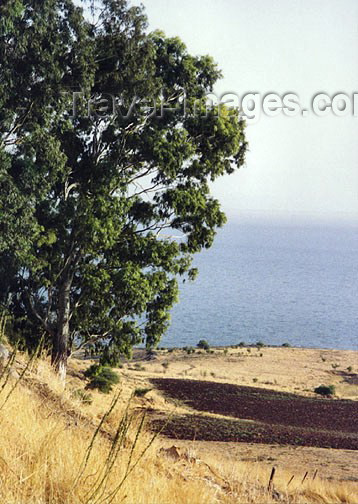 israel41: Israel - Sea of Galille / Lake Tiberias / Yam Kinneret / Kineret lake: site of the Sermon on the Mount - photo by G.Frysinger - (c) Travel-Images.com - Stock Photography agency - Image Bank