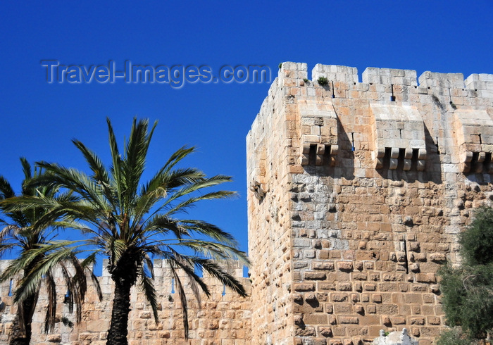 israel422: Jerusalem, Israel: Omar Ben el-Hatab square, palm trees and south tower at the Citadel's gate - photo by M.Torres - (c) Travel-Images.com - Stock Photography agency - Image Bank