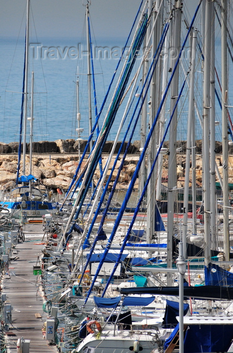 israel48: Tel Aviv, Israel: yachts lined at tel Aviv Marina - photo by M.Torres - (c) Travel-Images.com - Stock Photography agency - Image Bank