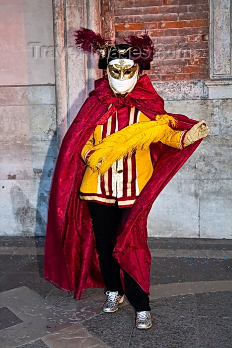 italy518: Carnival participant with Carnival costume in Piazza San Marco, Venice - photo by A.Beaton - (c) Travel-Images.com - Stock Photography agency - Image Bank