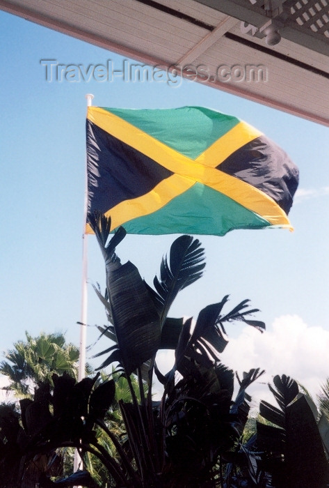 jamaica21: Jamaica - Kingston: Jamaican flag (photo by Miguel Torres) - (c) Travel-Images.com - Stock Photography agency - Image Bank