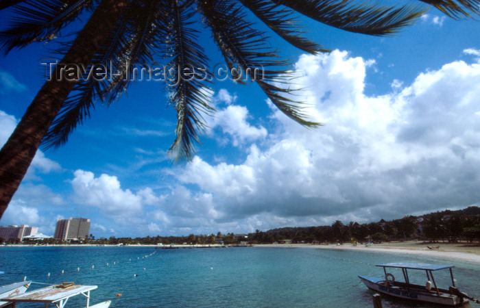 jamaica53: Jamaica - Ocho Rios: beach view - under a coconut tree - photo by Francisca Rigaud - (c) Travel-Images.com - Stock Photography agency - Image Bank
