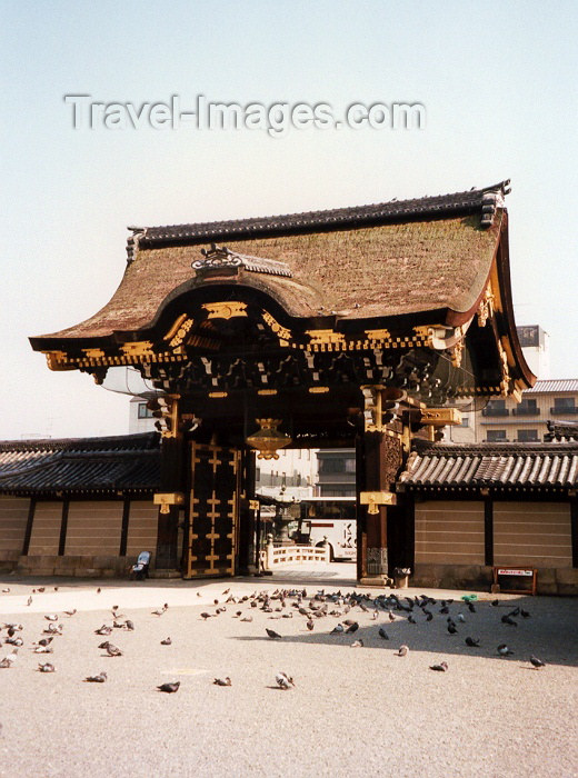 japan9: Japan - Kyoto: pigeons guarding the Nijojo - the Shogun's palace - photo by M.Torres - (c) Travel-Images.com - Stock Photography agency - Image Bank