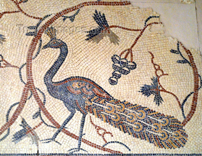 jordan115: Mount Nebo - Madaba governorate - Jordan: peacock and grapevines - ornate Byzantine floor mosaics in the basilica - photo by M.Torres - (c) Travel-Images.com - Stock Photography agency - Image Bank