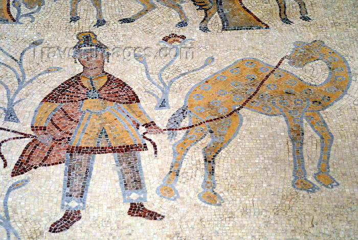 jordan117: Mount Nebo - Madaba governorate - Jordan:  Byzantine mosaic in the old diaconicon baptistery of the basilica - man with camel - photo by M.Torres - (c) Travel-Images.com - Stock Photography agency - Image Bank