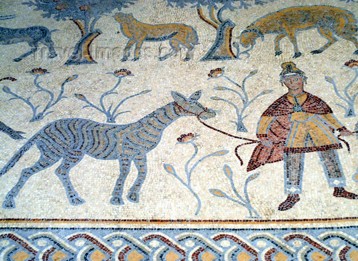 jordan118: Mount Nebo - Madaba governorate - Jordan:  Byzantine mosaic in the old diaconicon baptistery of the basilica - man with zebra - photo by M.Torres - (c) Travel-Images.com - Stock Photography agency - Image Bank