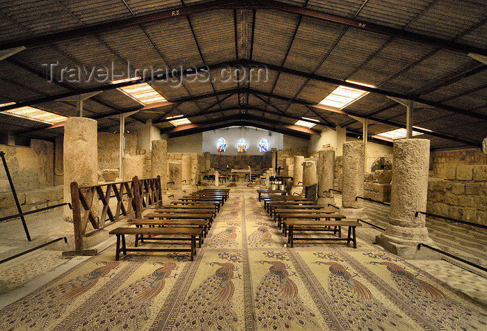 jordan120: Mount Nebo - Madaba governorate - Jordan: main aisle of the Basilica - ruins and metal roof - photo by M.Torres - (c) Travel-Images.com - Stock Photography agency - Image Bank