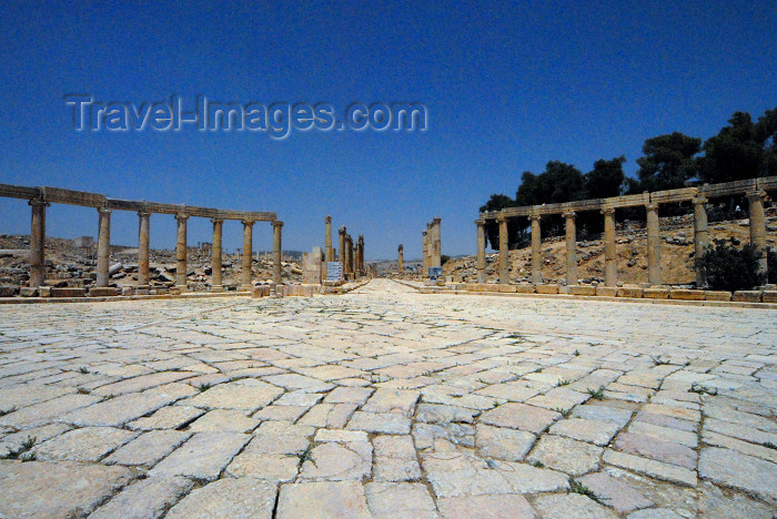 jordan165: Jerash - Jordan: the Forum - looking North along the Cardo - Roman city of Gerasa - photo by M.Torres - (c) Travel-Images.com - Stock Photography agency - Image Bank