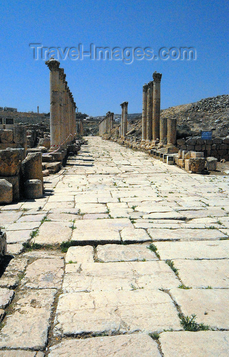 jordan171: Jerash - Jordan: the South Decumanus intersects the Cardo - Roman city of Gerasa - photo by M.Torres - (c) Travel-Images.com - Stock Photography agency - Image Bank