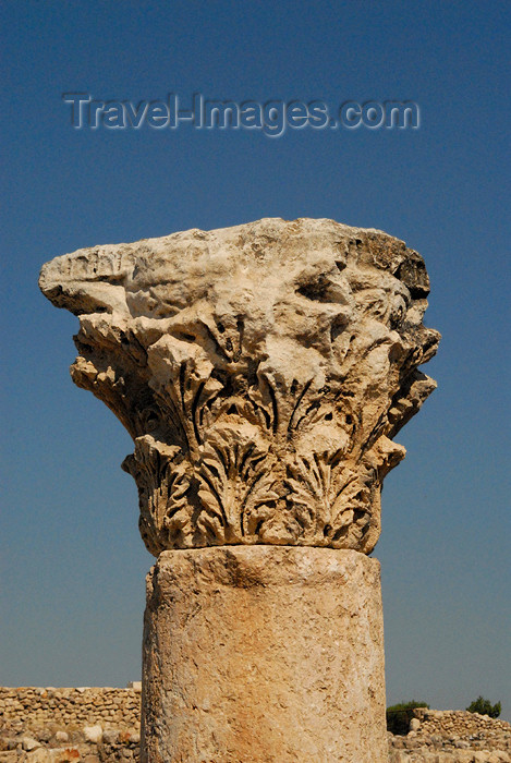 jordan221: Amman - Jordan: Byzantine Church - Corinthian capital - citadel - photo by M.Torres - (c) Travel-Images.com - Stock Photography agency - Image Bank