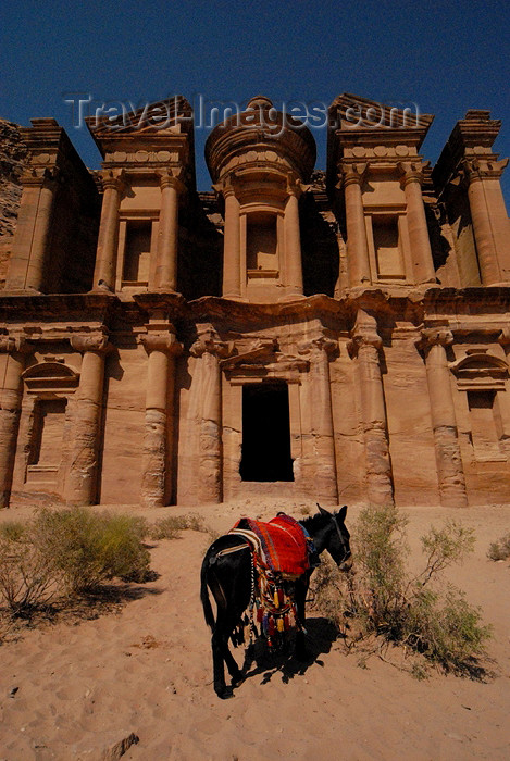 jordan244: Jordan - Petra: donkey at Ad Deir - the Monastery - UNESCO world heritage site - photo by M.Torres - (c) Travel-Images.com - Stock Photography agency - Image Bank