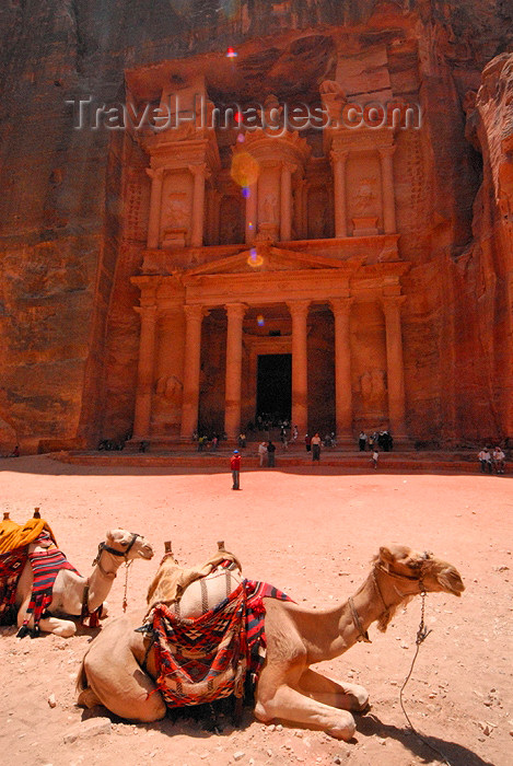 jordan250: Jordan - Petra: Khazneh - Treasury - camels under the midday sun - UNESCO world heritage site - photo by M.Torres - (c) Travel-Images.com - Stock Photography agency - Image Bank